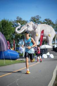 BIB: 
                            <button type="button" onclick="openModal(26542825)" class="btn btn-primary btn-sm float-right btn-popup" data-toggle="modal" data-target=".modal-high-quality">
                        <i class="fas fa-shopping-cart"></i> Add to Cart
                    </button>
                                            <button type="button" onclick="isThisMe(26542825, true)" class="btn btn-success btn-sm float-right btn-popup btn-isme hidden" data-toggle="tooltip" data-placement="bottom" title="นี่คือรูปของคุณใช่ไหม คลิกที่นี่เพื่อเอาเข้าอัลบั้ม">
                        <i class="fas fa-plus"></i> Add to album
                    </button>
                    <button type="button" onclick="isThisMe(26542825, false)" class="btn btn-warning btn-sm float-right btn-popup btn-isnotme hidden">
                        <i class="fas fa-ban"></i> Remove from album
                    </button>